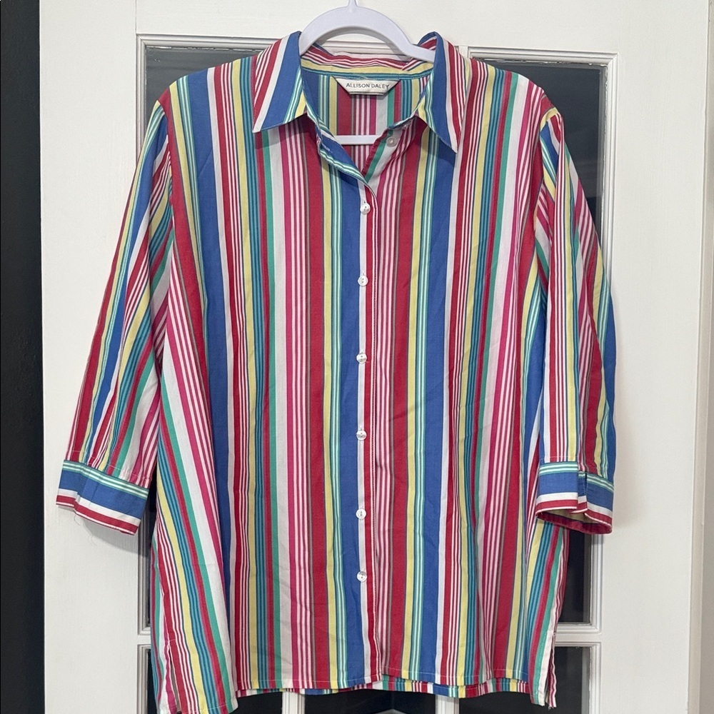 Allison Daley Multicolor Striped Button Down Shirt